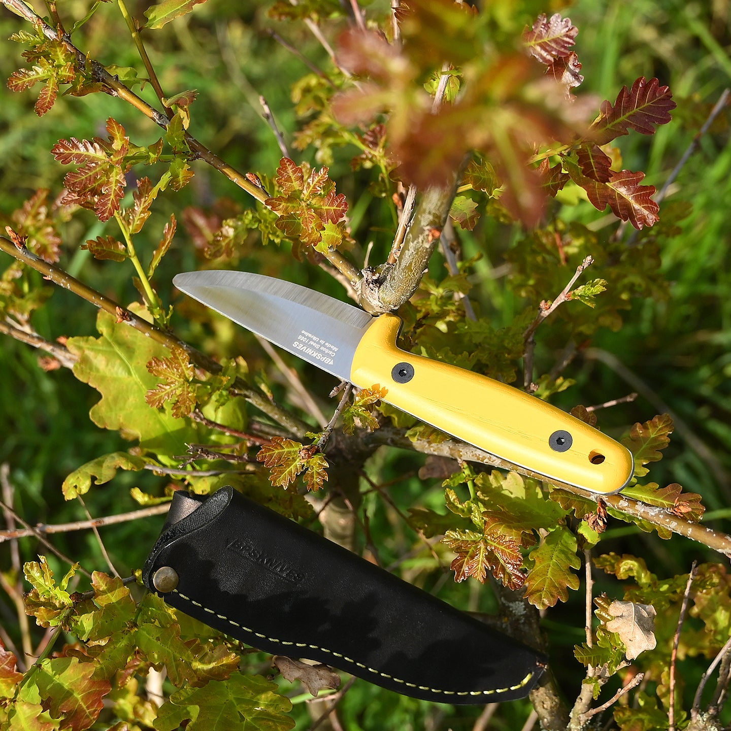 SUMMER: SEASON SERIES