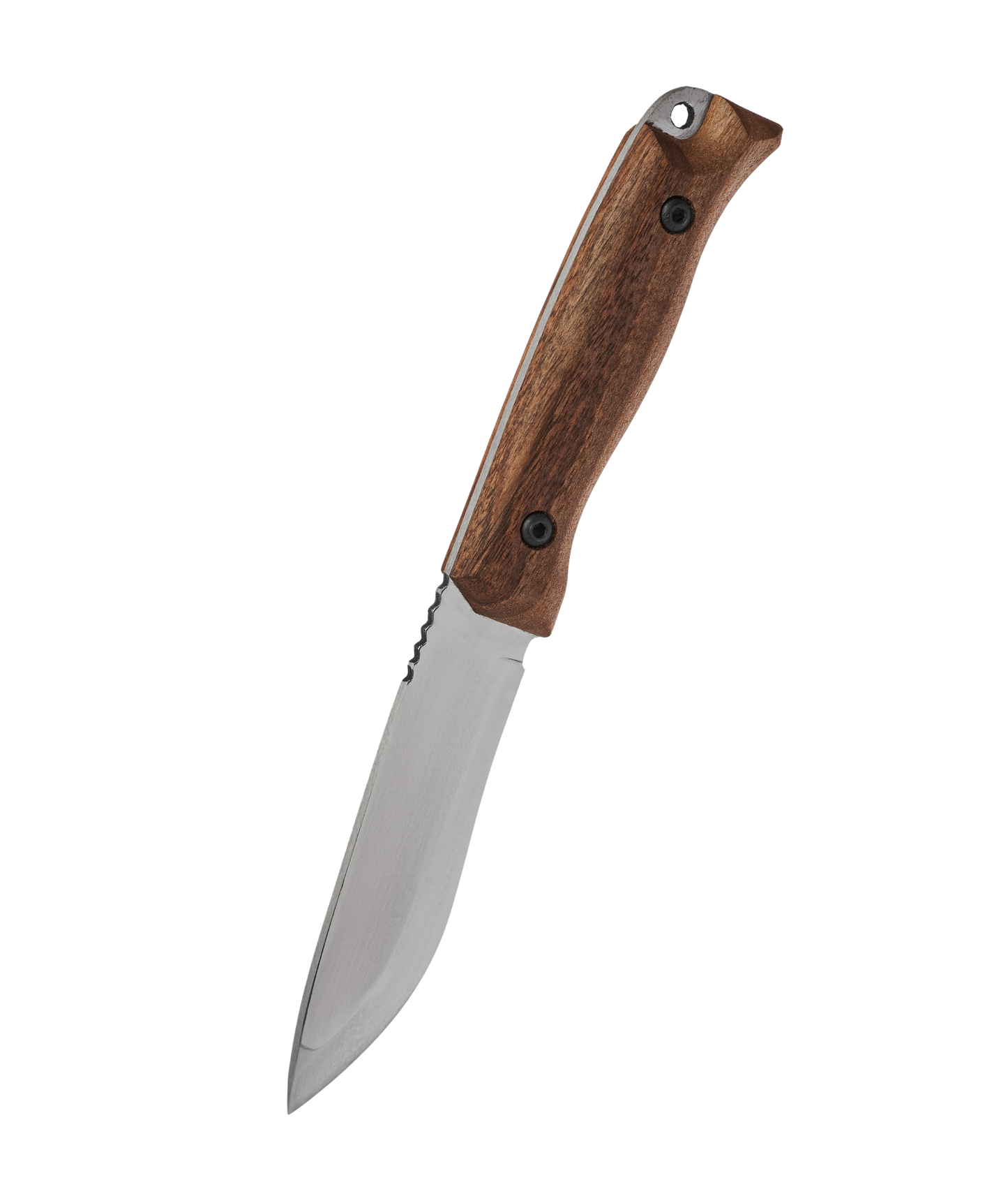 HK1 CSHF