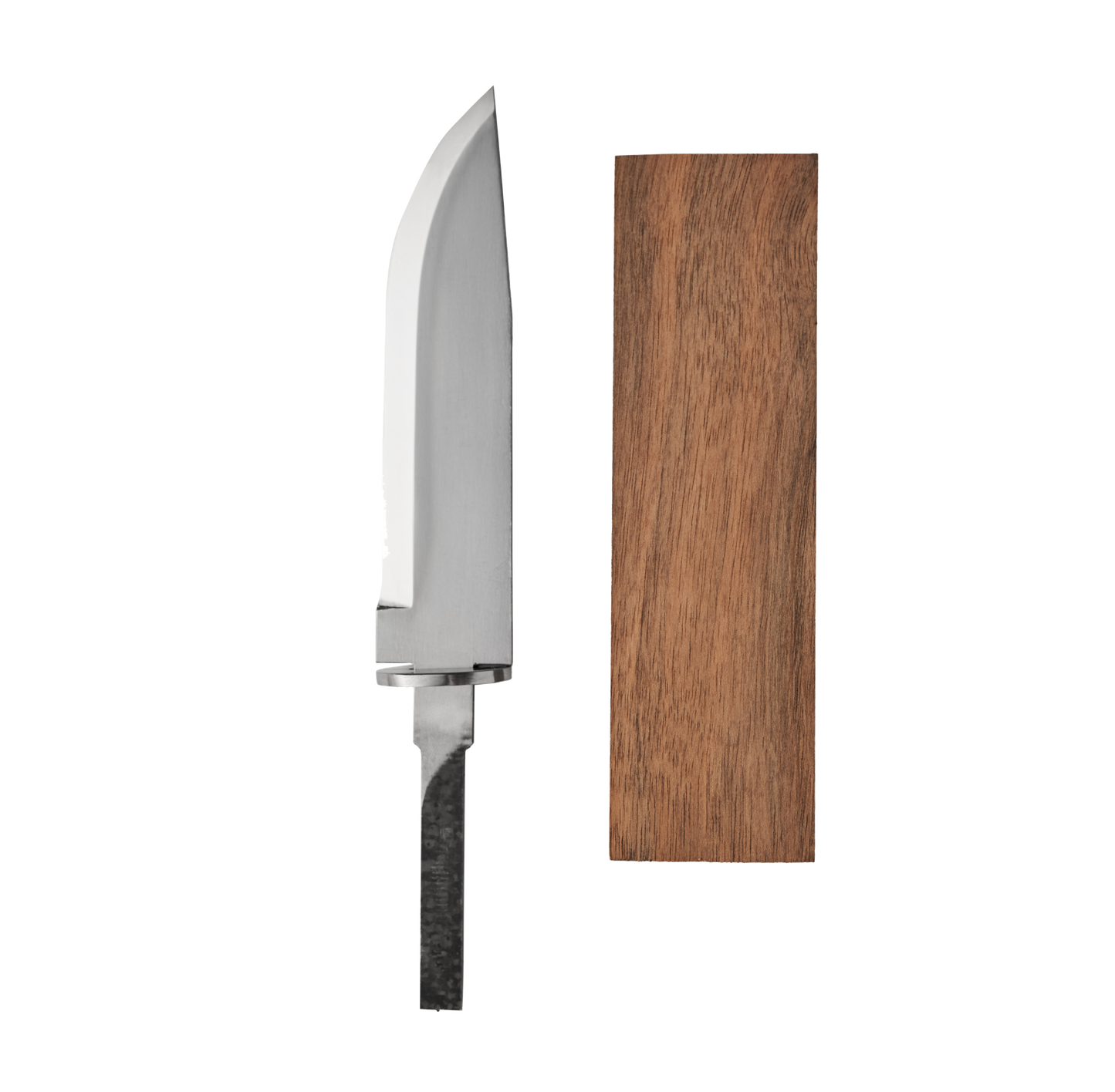 Blank06 C with Walnut wood