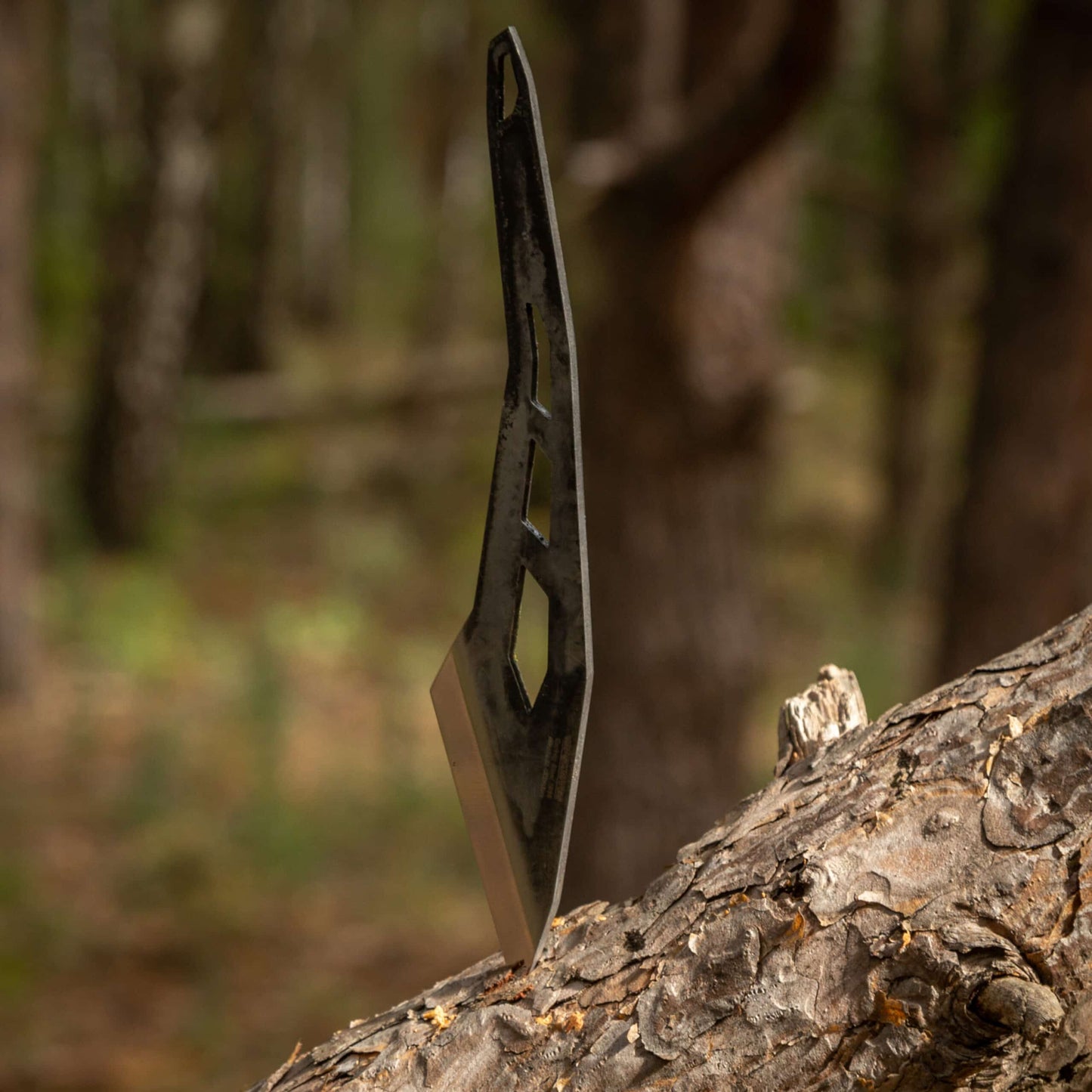 Kiridashi CSH
