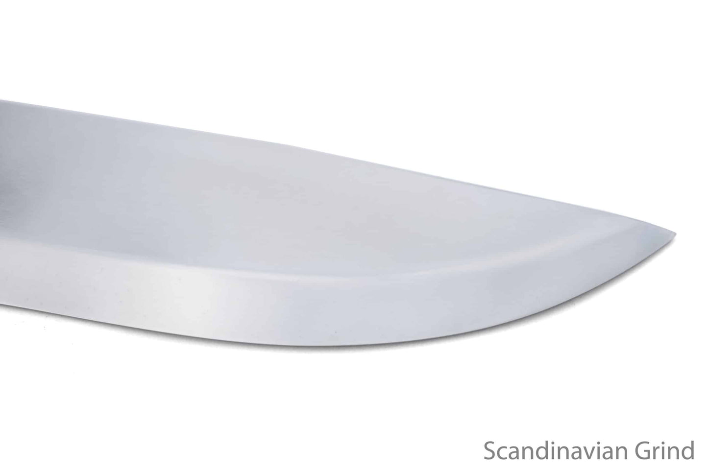 Blank06 C