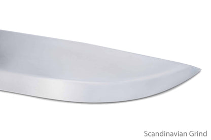 Blank06 C