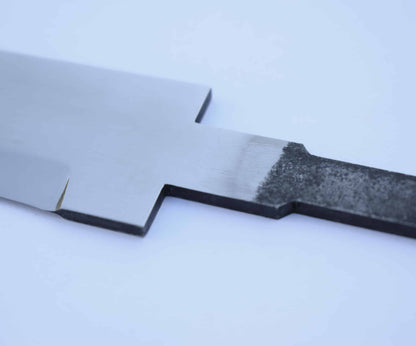 Blank06 C