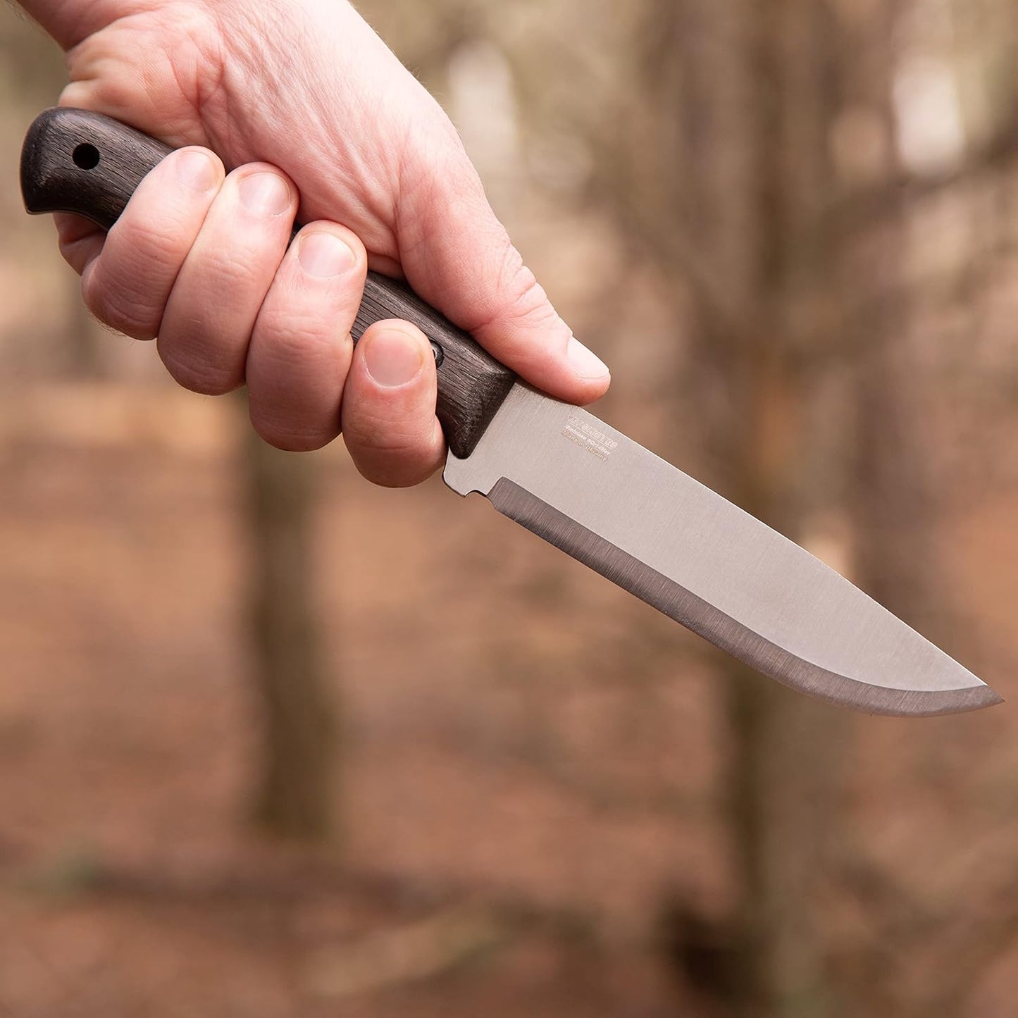 Nighthawk Adventurer