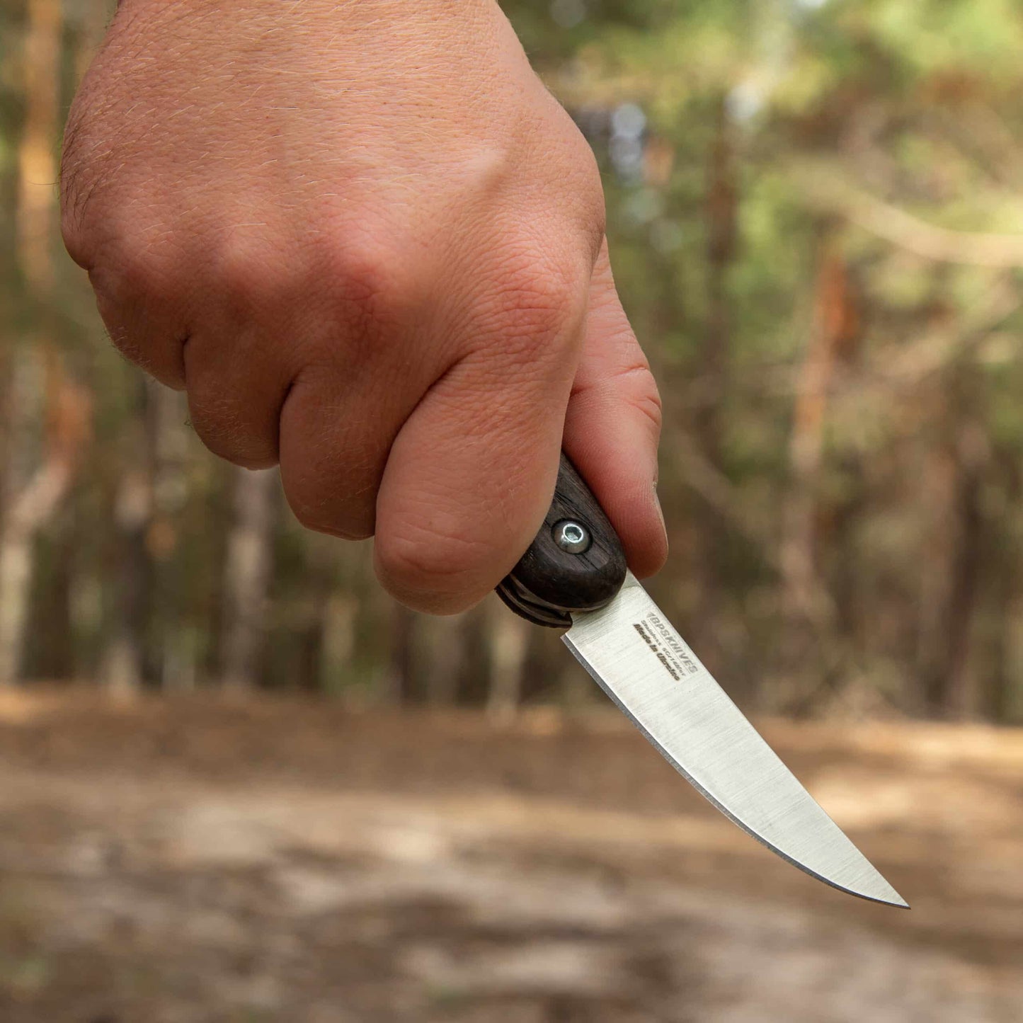 Friction folder SSH Knife